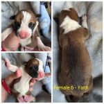 Female 6 - Faith